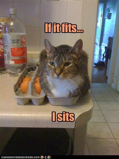 If It Fits I Sites