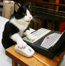 Cat using a computer