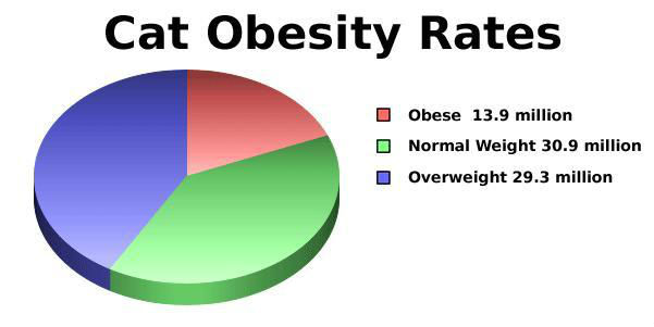 Piechart: Cat Obesity Rates - Normal 30.9 million, Overweight 29.3 million, Obese 13.9 million